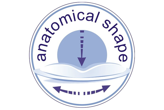 anatomical-shape